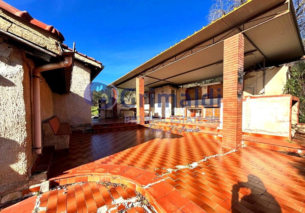 immagine annuncio 5 di 13