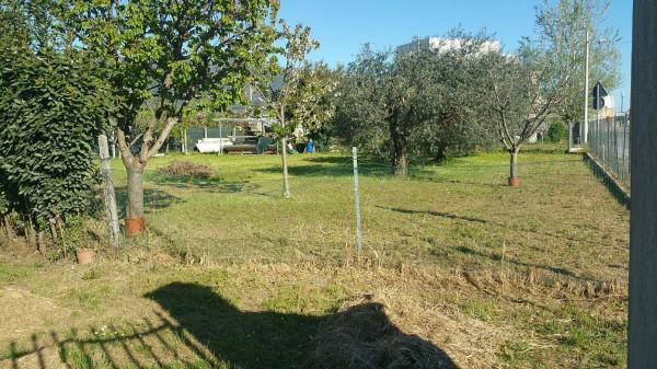 immagine annuncio 3 di 6