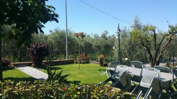 immagine annuncio 3 di 7