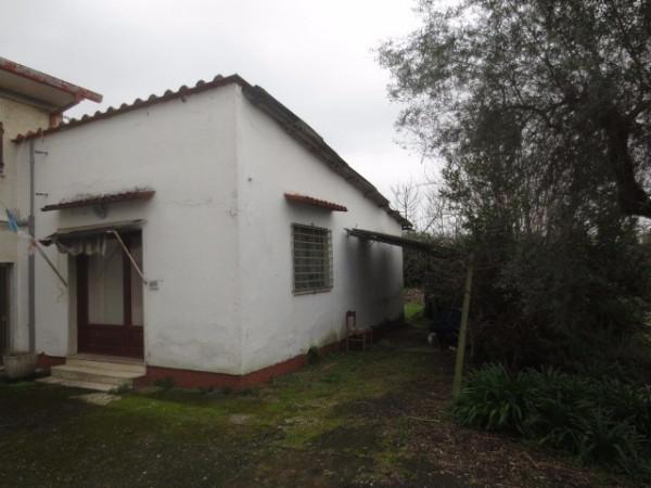 immagine annuncio 1 di 6