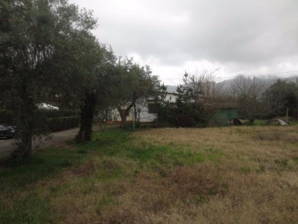 immagine annuncio 2 di 6