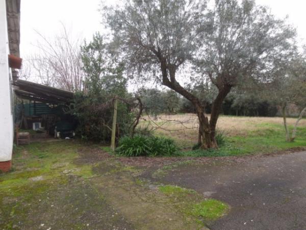 immagine annuncio 4 di 6