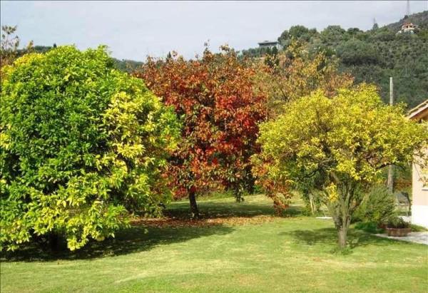 immagine annuncio 6 di 12