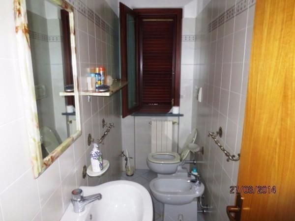 immagine annuncio 4 di 14