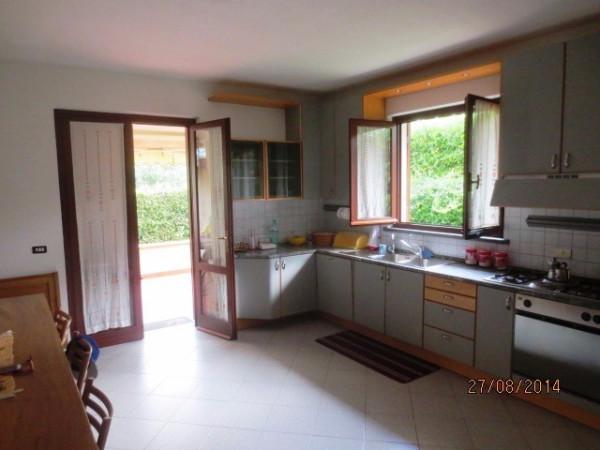 immagine annuncio 7 di 14