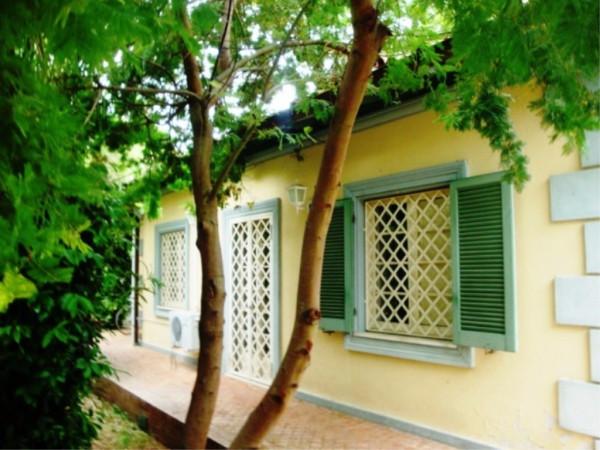 immagine annuncio 5 di 12