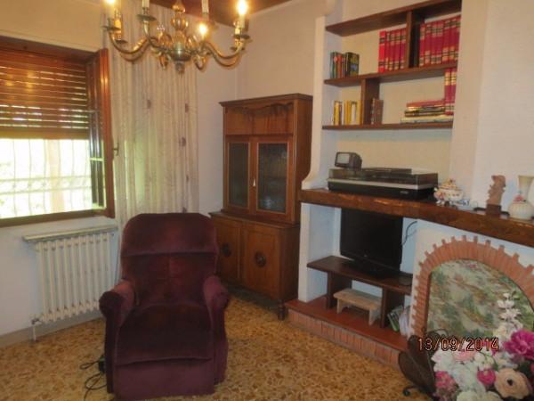 immagine annuncio 6 di 14