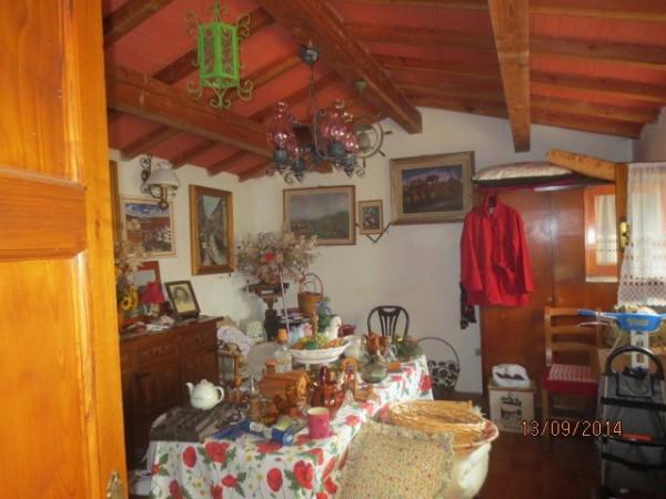 immagine annuncio 11 di 14