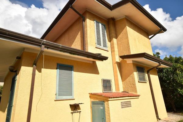 immagine annuncio 6 di 7