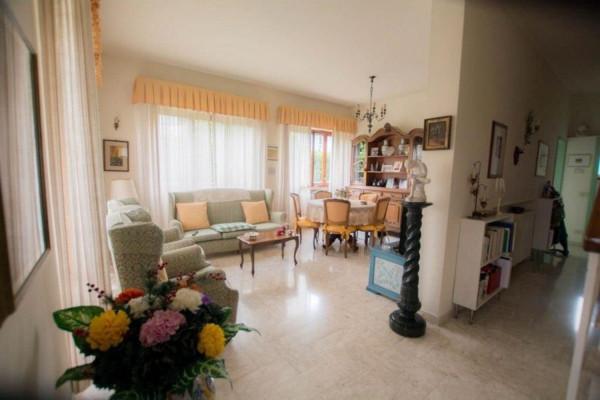 immagine annuncio 9 di 14