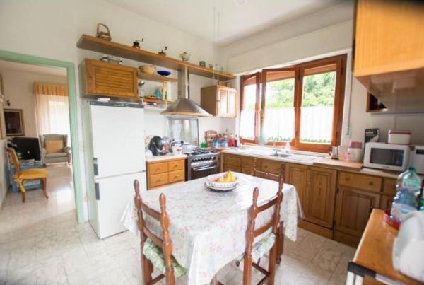 immagine annuncio 7 di 14