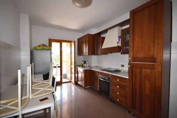 immagine annuncio 12 di 13