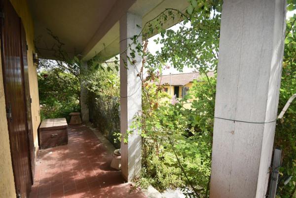 immagine annuncio 9 di 14