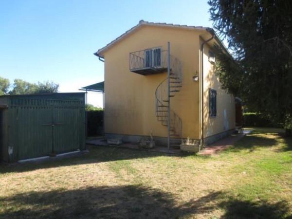 immagine annuncio 4 di 7