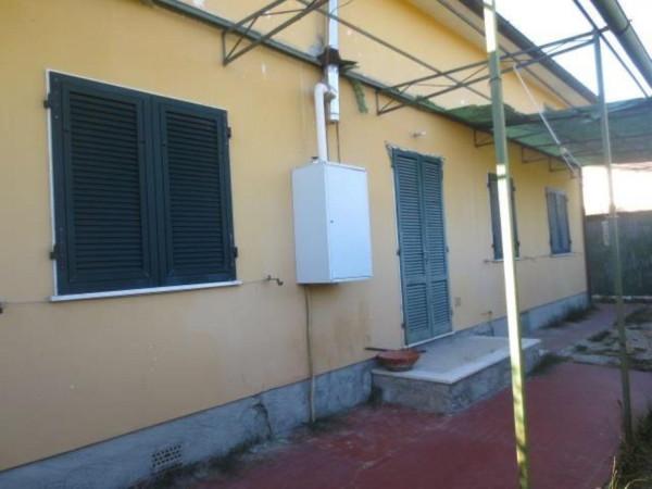 immagine annuncio 6 di 7