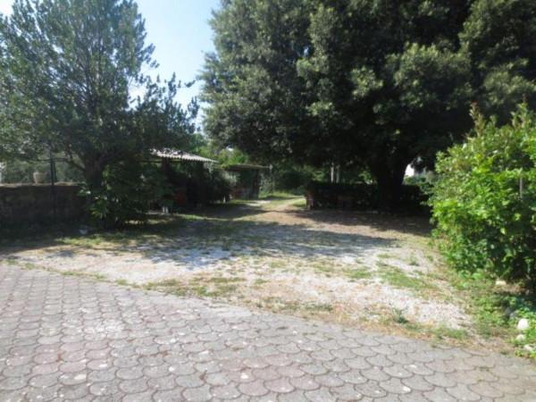 immagine annuncio 3 di 11