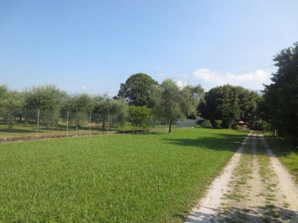 immagine annuncio 7 di 11