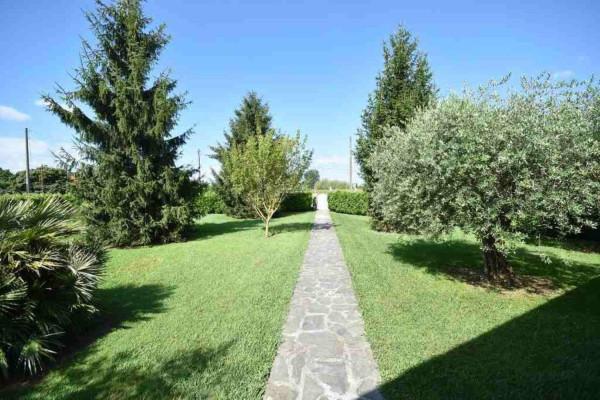 immagine annuncio 1 di 8