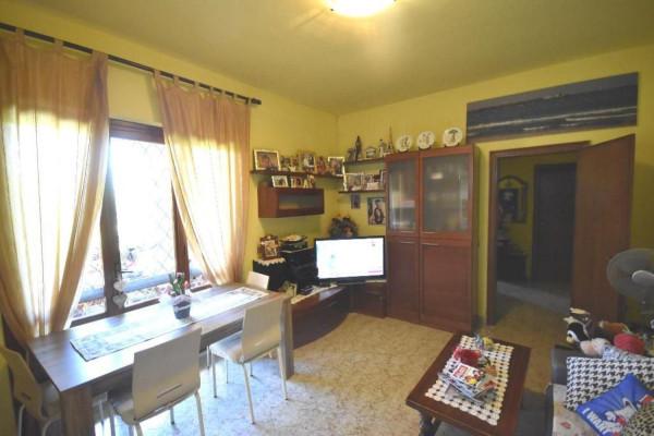 immagine annuncio 3 di 8