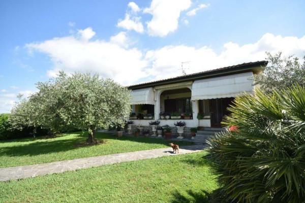 immagine annuncio 6 di 8