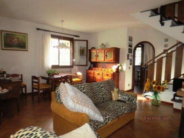 immagine annuncio 2 di 7