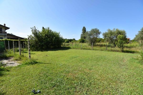 immagine annuncio 2 di 11