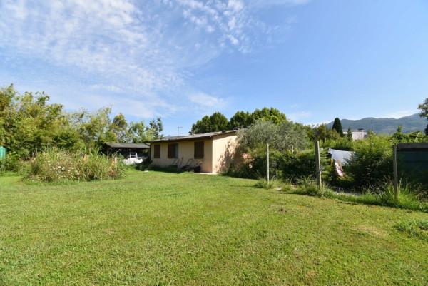 immagine annuncio 3 di 11