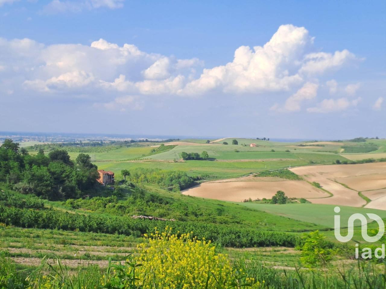 Terreno agricolo in vendita a Lu e Cuccaro Monferrato