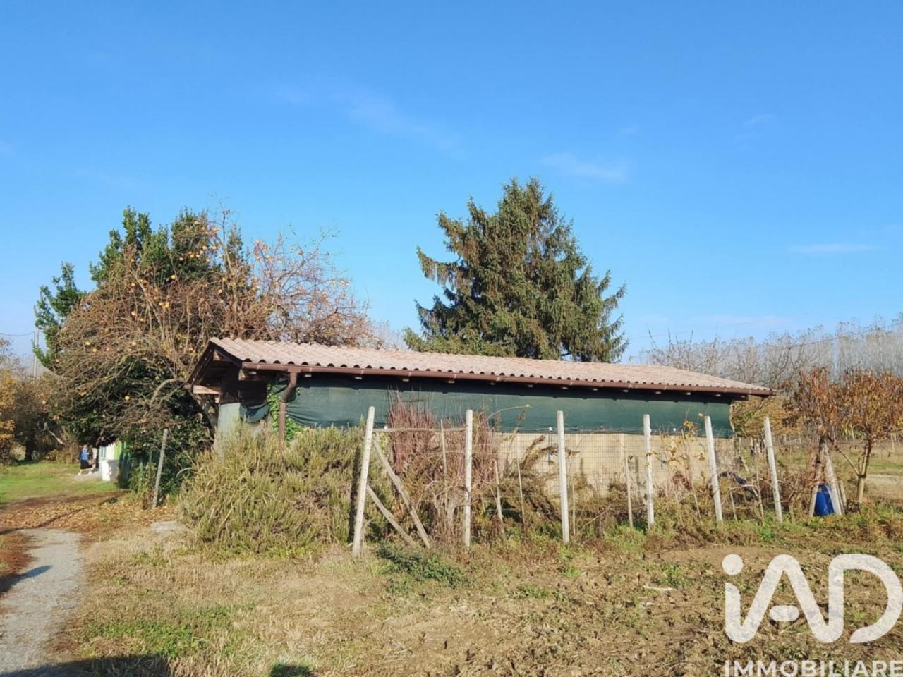 immagine annuncio 6 di 12