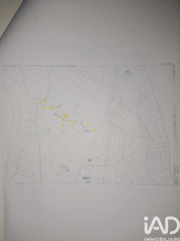 immagine annuncio 11 di 12