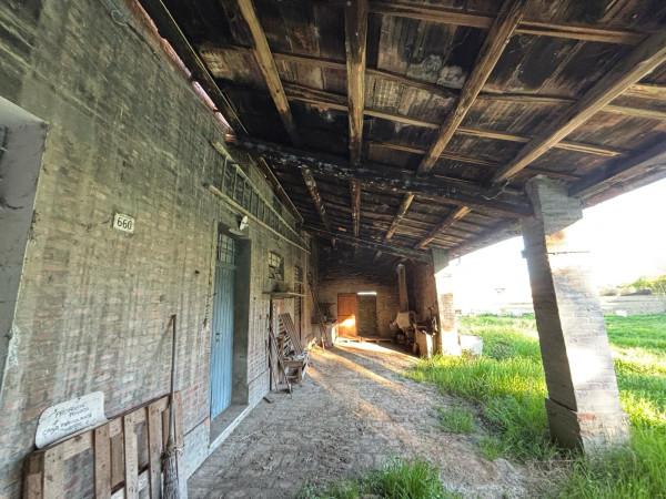 immagine annuncio 7 di 14