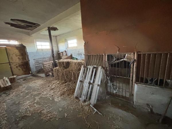 immagine annuncio 8 di 14