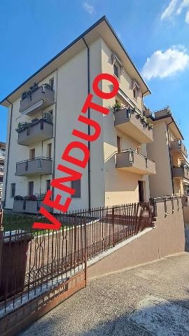 insertion image