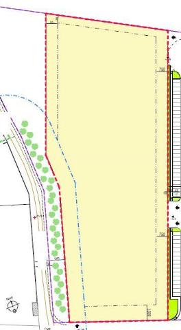 insertion image