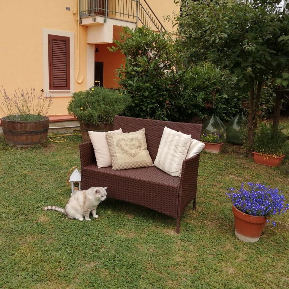 immagine annuncio 4 di 15