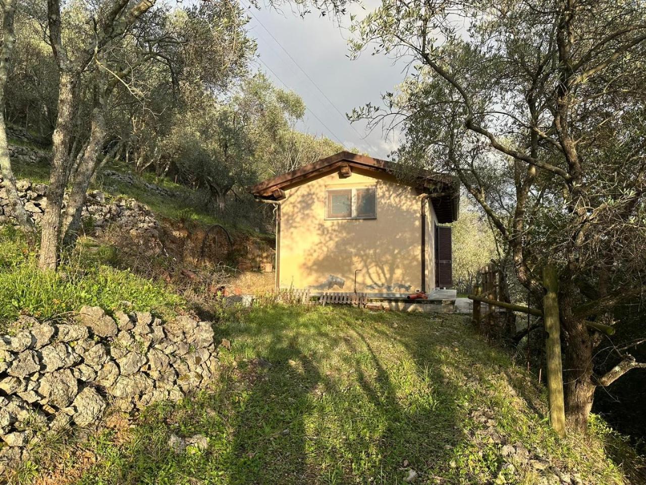 immagine annuncio 1 di 7