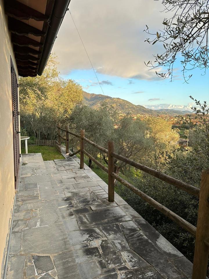 immagine annuncio 2 di 7