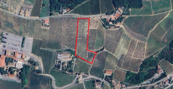 Azienda agricola in , Santa Maria Della Versa, {3} - Foto 2