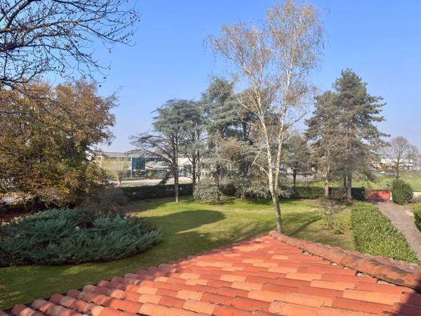 immagine annuncio 11 di 15