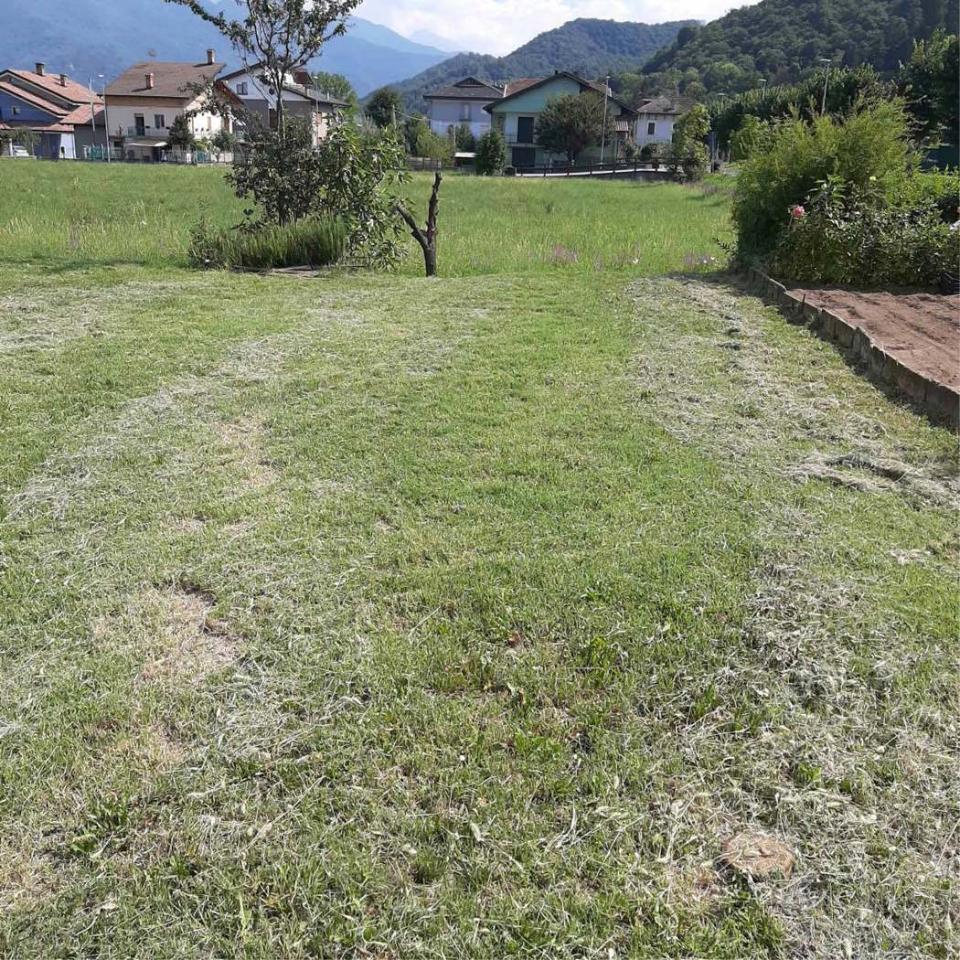 immagine annuncio 12 di 14