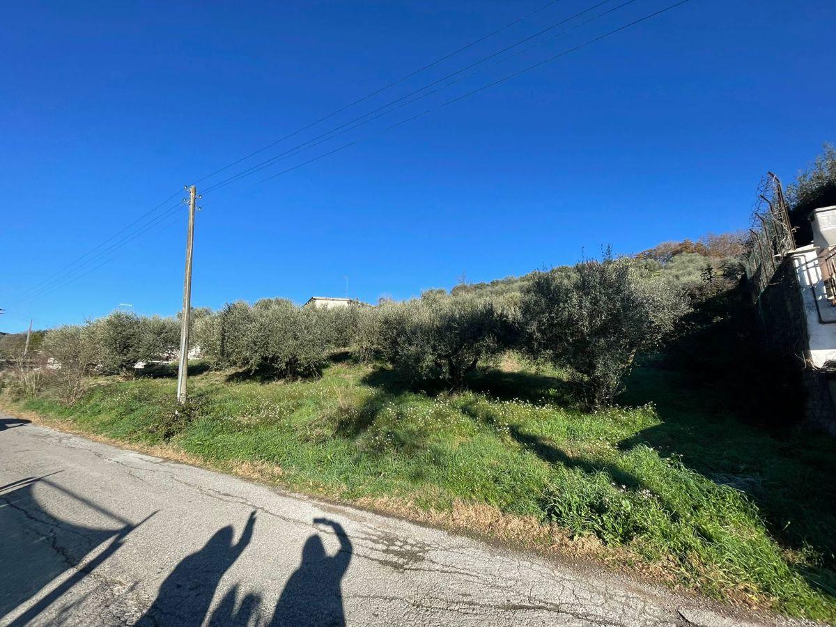immagine annuncio 4 di 8
