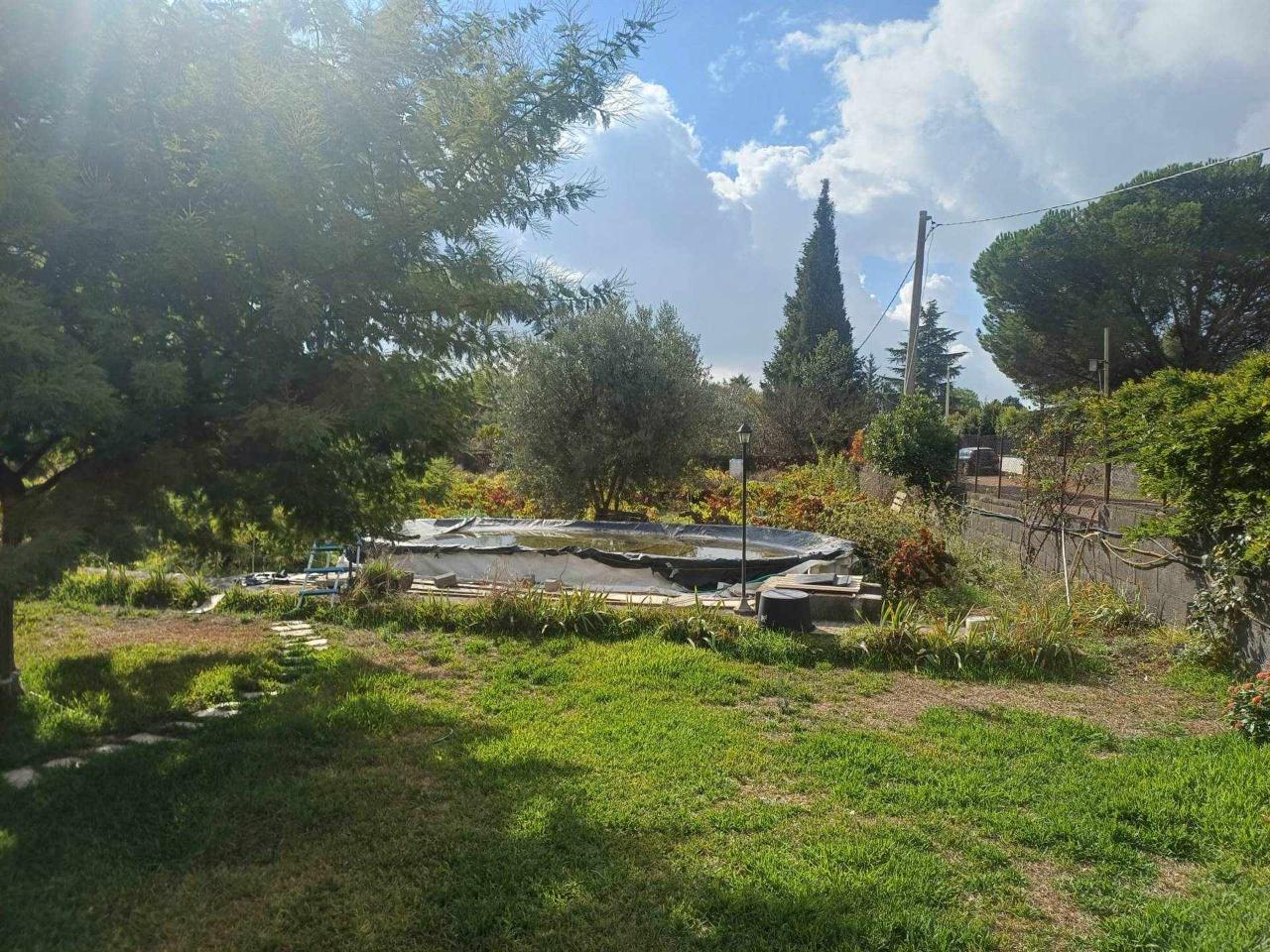 immagine annuncio 4 di 9