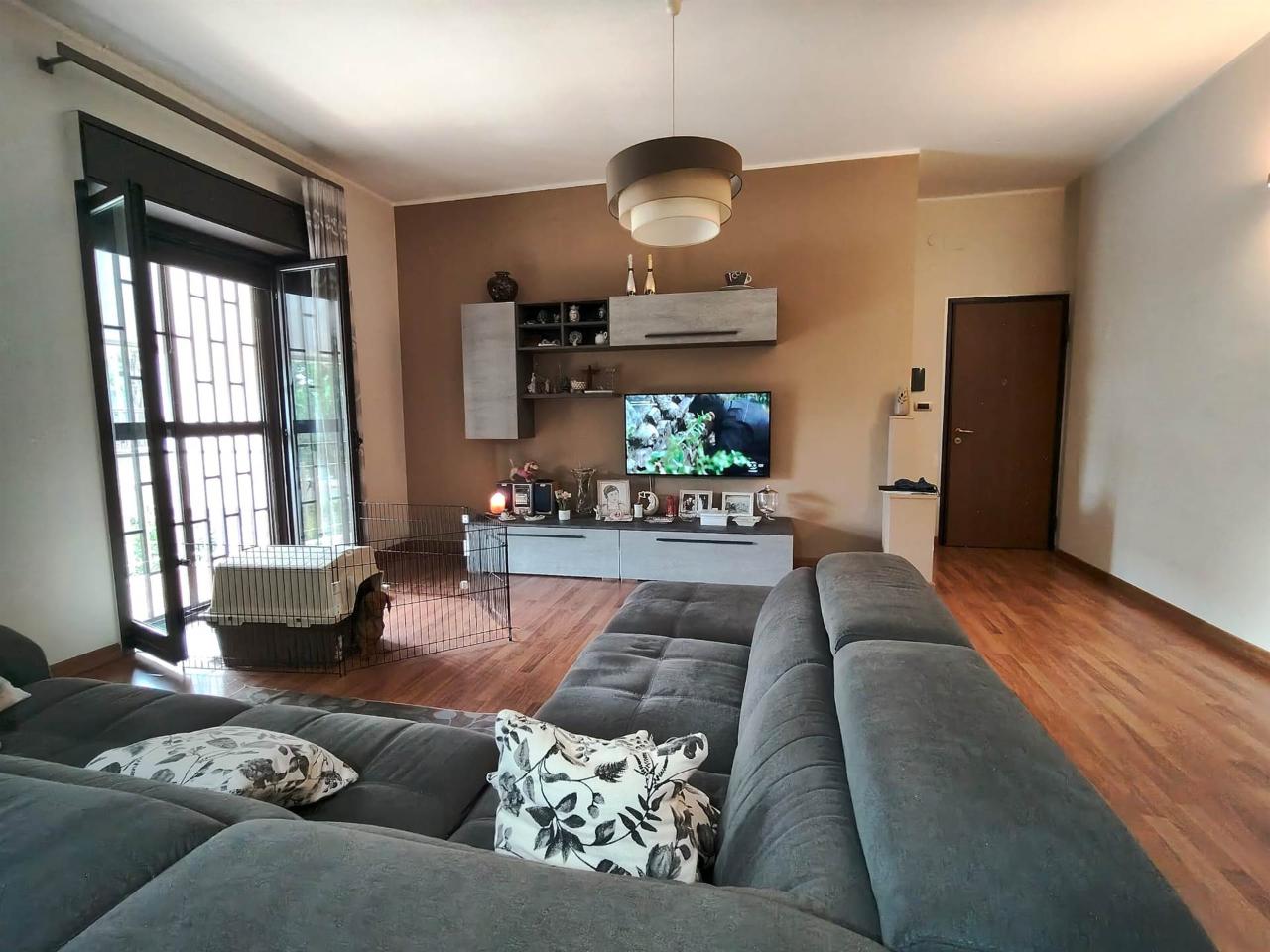 immagine annuncio 6 di 15