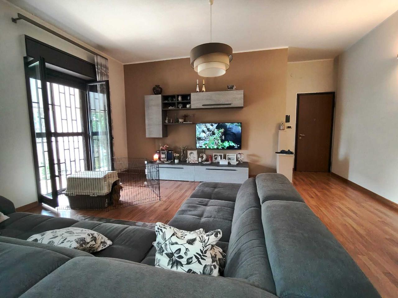 immagine annuncio 7 di 15