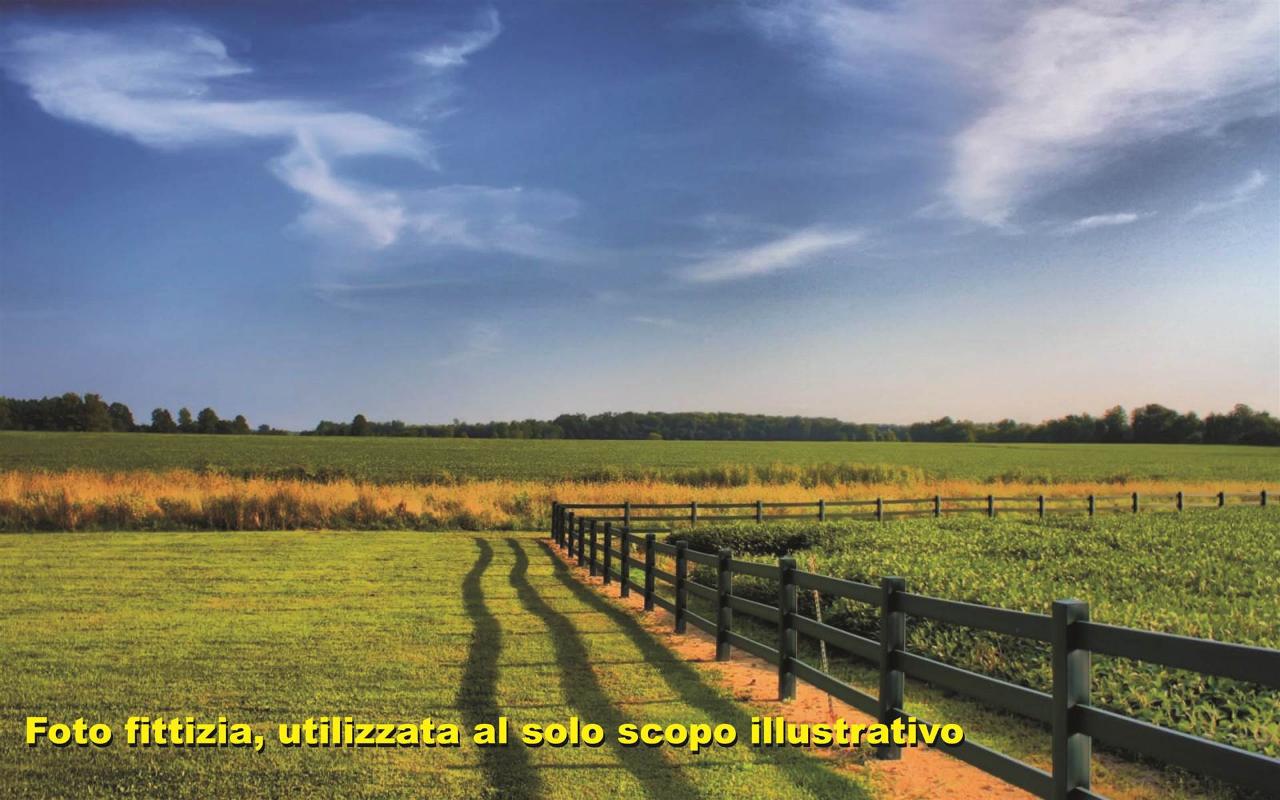 immagine annuncio 2 di 3