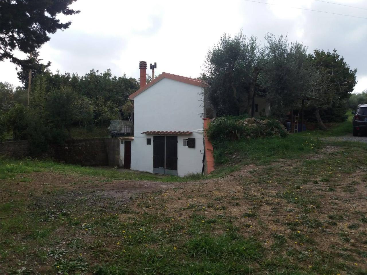 immagine annuncio 4 di 14