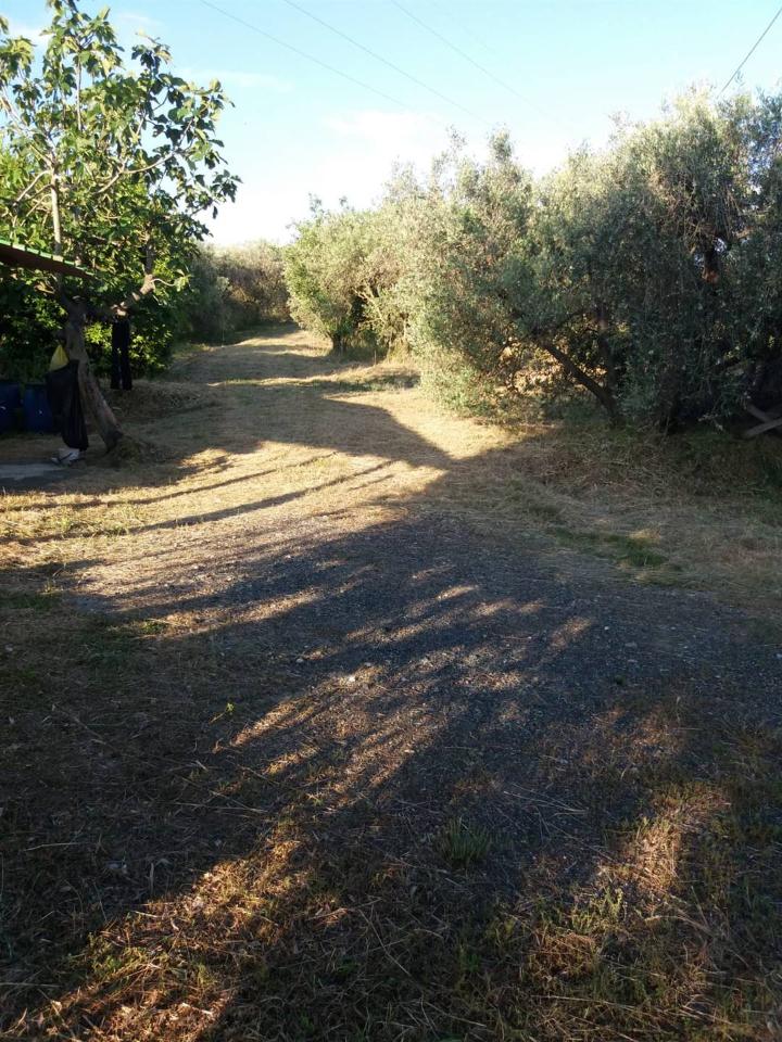 immagine annuncio 7 di 14