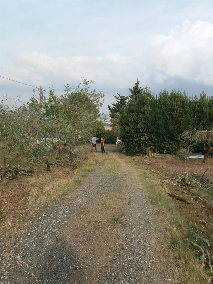 immagine annuncio 6 di 14