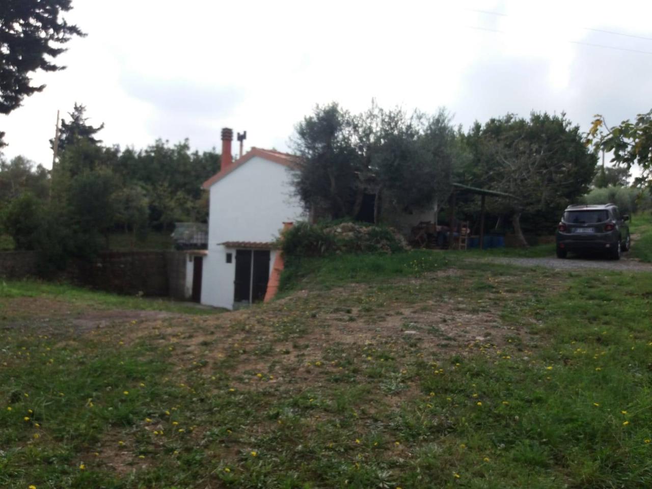 immagine annuncio 12 di 14