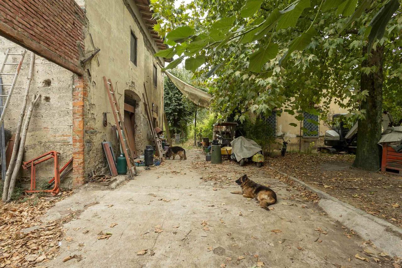 immagine annuncio 5 di 12